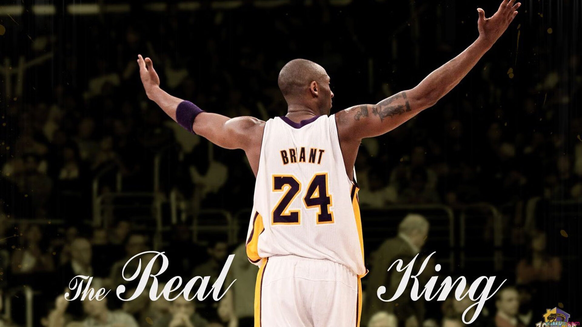 独行侠式英雄主义，浓眉化身关键先生，决胜局带走辽宁队